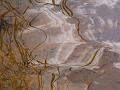 Natur 0059